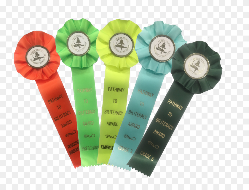 752x581 Picture Of Biliteracy Award Ribbons Watch, Wristwatch, Digital Watch HD PNG Download