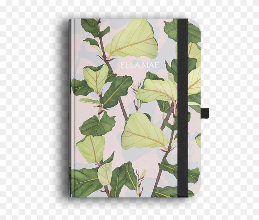 519x655 Picture Of Fiddle Leaf Fig Luxury Journal Fiddle Leaf Fig Leaf Draw, Plant, Flower, Blossom HD PNG Download