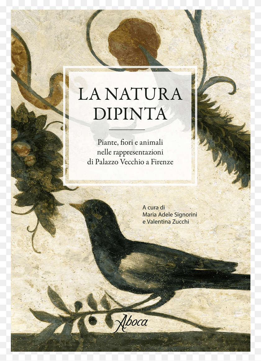 772x1101 Descargar Png Picture Of La Natura Dipinta Rusty Mirlo, Pájaro, Animal, Texto Hd Png