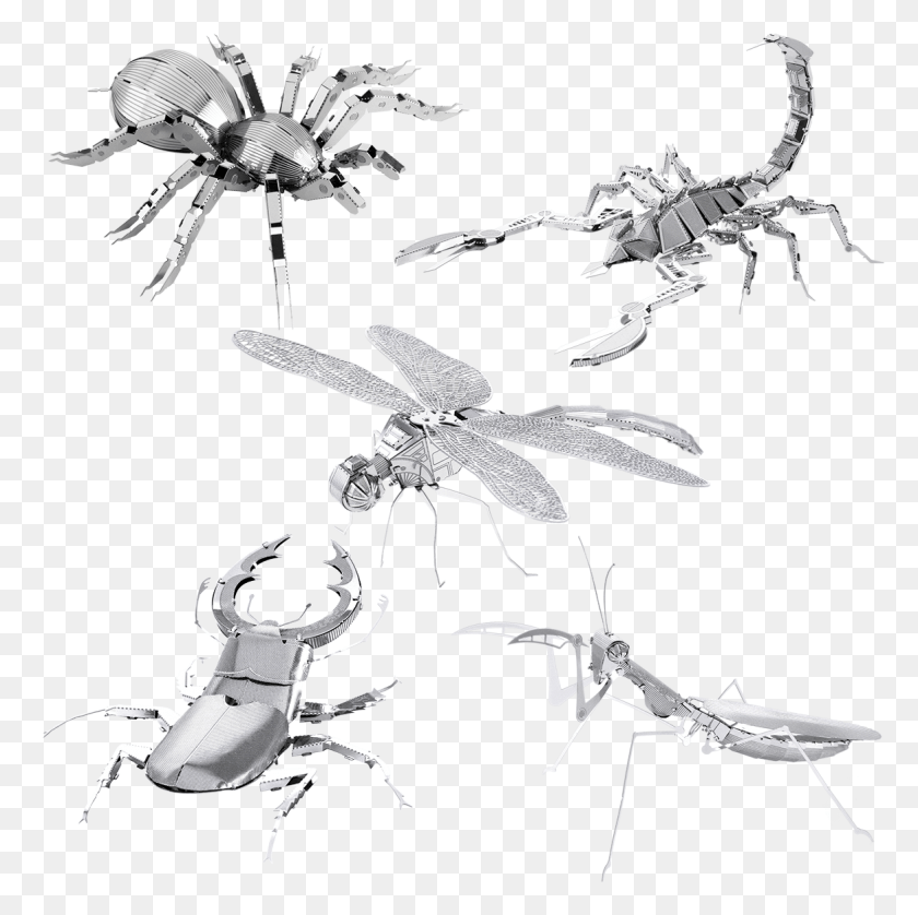 1166x1164 Picture Of Set Bugs Metal Bugs, Animal, Invertebrate, Insect HD PNG Download