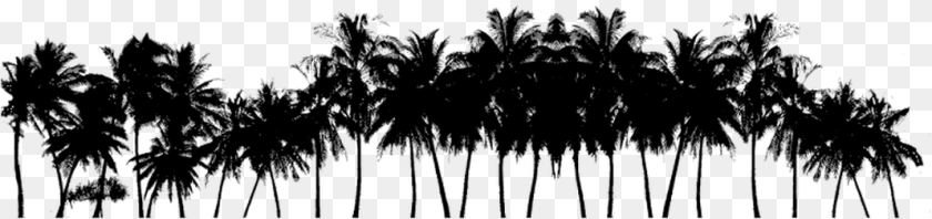 1069x252 Picture Palm Trees Black, Gray Clipart PNG