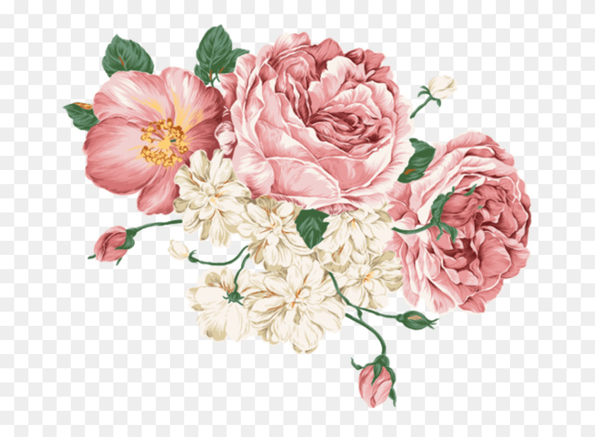 668x557 Рисунок Пионов Вектор Бесплатно, Растение, Цветок, Цветение Hd Png Скачать