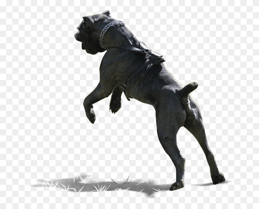 710x619 Рисунок Рисунок Рисунок Рисунок Рисунок Собака Что-То Ловит, Статуя, Скульптура Hd Png Скачать