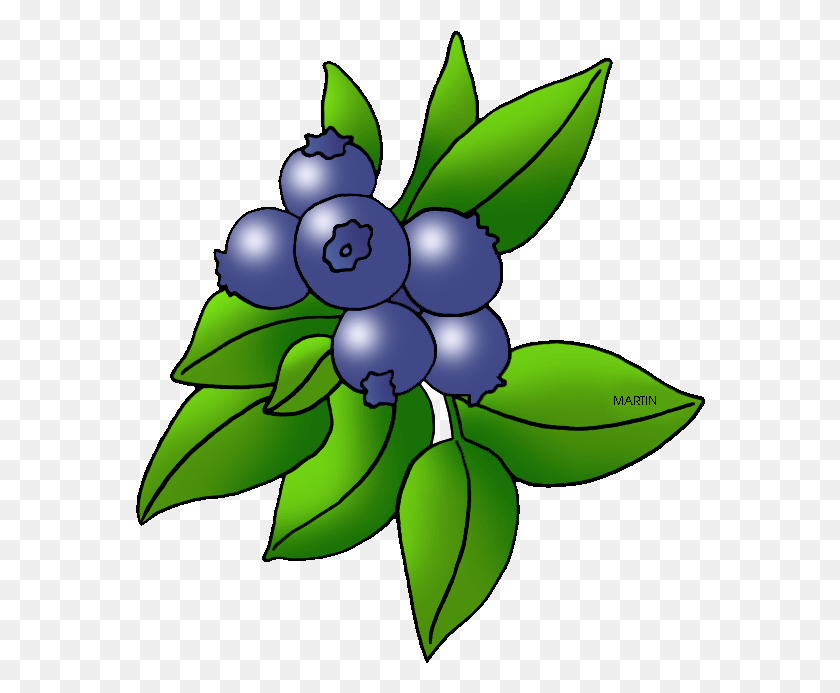 570x633 Picture Royalty Free Library Image Of Blueberry Blueberries Transparent Berry Clipart, Plant, Fruit, Food HD PNG Download