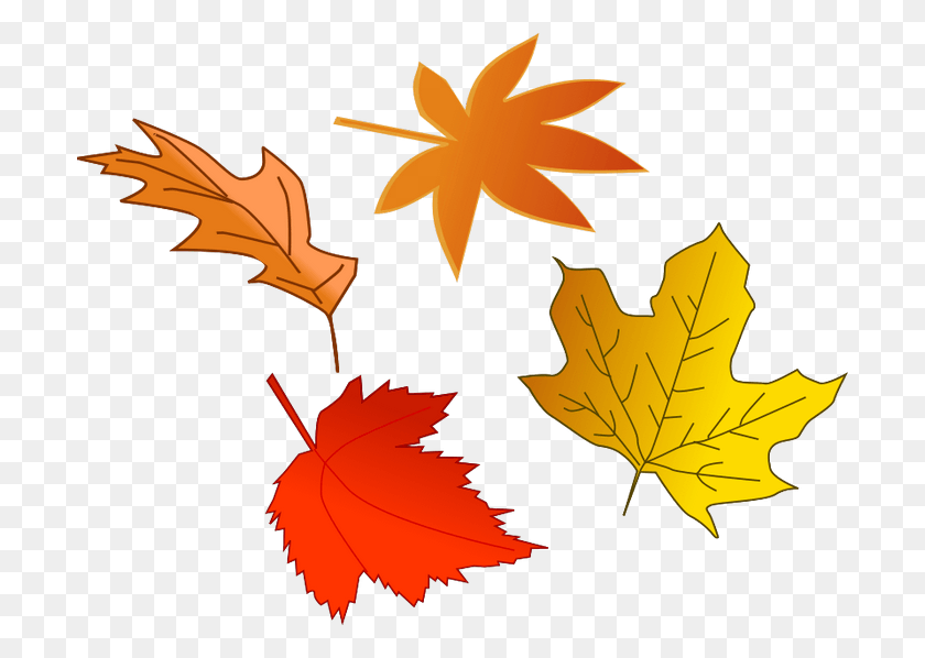 700x538 Picture Royalty Free Stock Collection Of High Quality Falling Leaf Clipart, Plant, Tree, Maple Leaf HD PNG Download