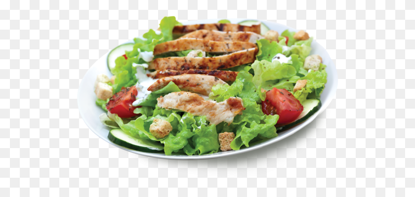 531x339 Picture Royalty Free Stock For Free On Chicken Salad, Lunch, Meal, Food HD PNG Download