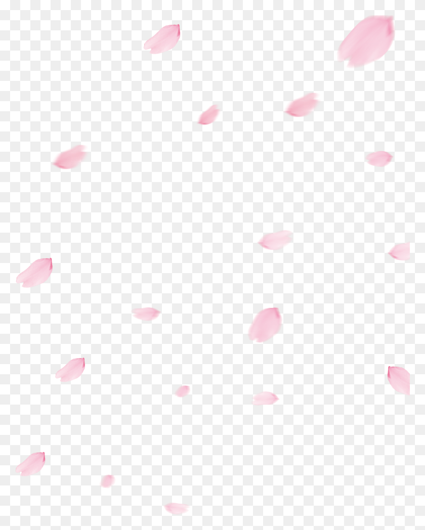 2370x3005 Picture Transparent Library Cherry Blossom Flower Polka Dot, Texture, Confetti, Paper HD PNG Download