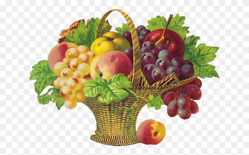 643x464 Picture Transparent Stock Basket Of D Coupage Fruits Health Message, Plant, Grapes, Fruit HD PNG Download