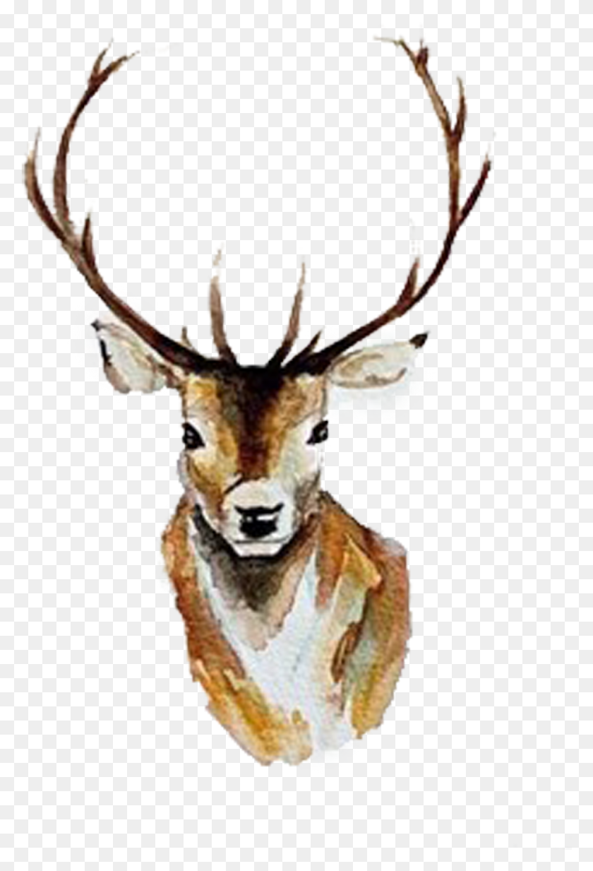 938x1411 Рисунок Акварелью Белый Рог Желтый Рождественский Олень Акварель, Млекопитающее, Животное, Дикая Природа Png Скачать