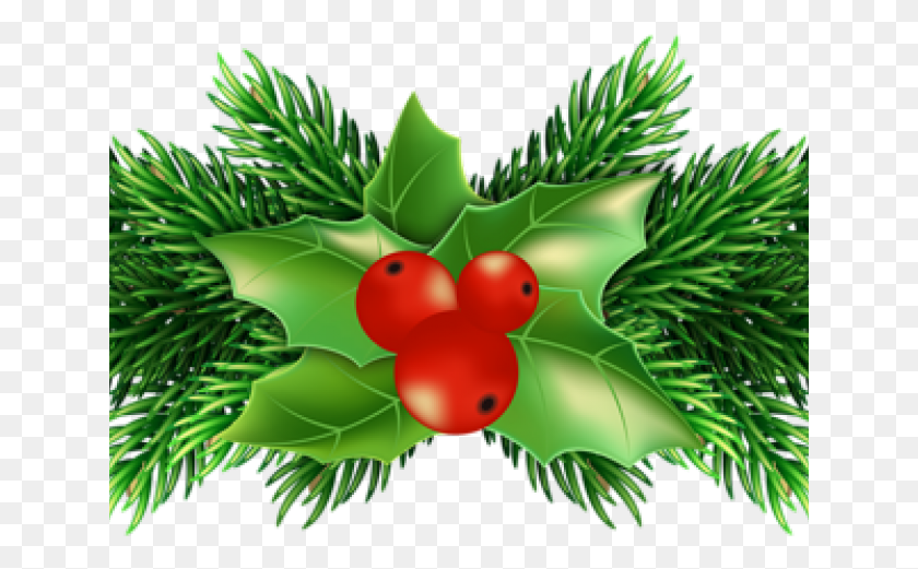 641x461 Pictures Of Christmas Holly Christmas Pine Tree Leaves, Leaf, Plant, Tree HD PNG Download