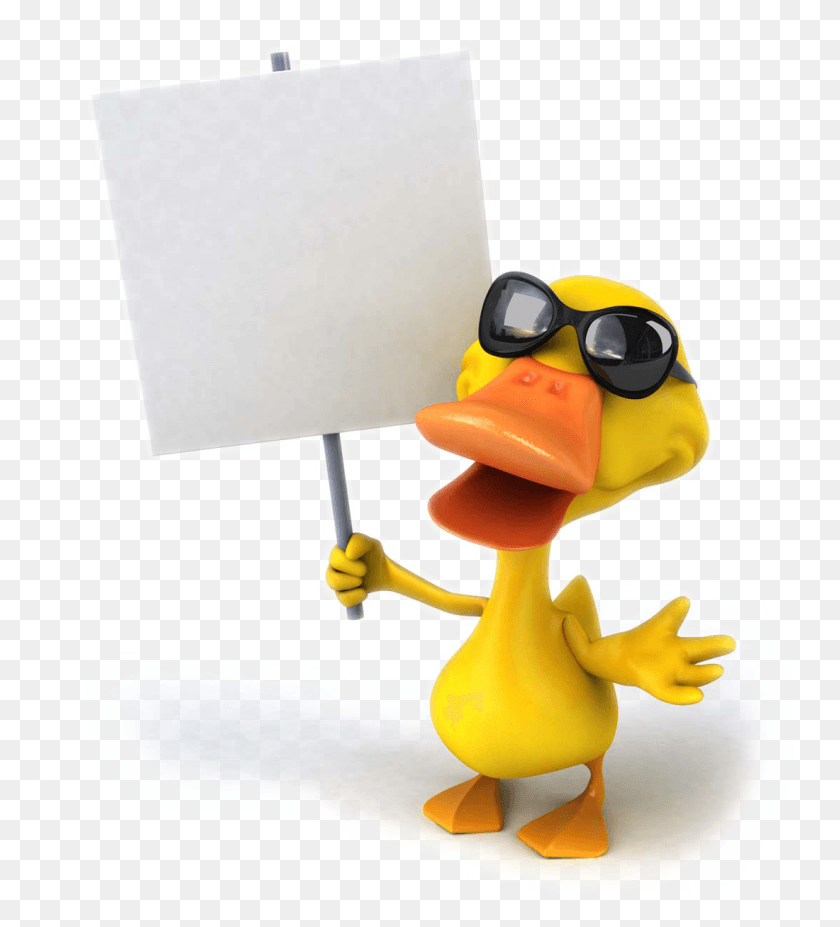 1100x1224 Pictures Photography Drawing Mallard Duck Cartoon Stock, Sunglasses, Accessories, Accessory HD PNG Download