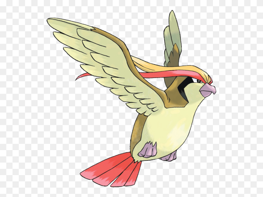 545x570 Pidgeot Pokemon Pidgeot, Bird, Animal, Pelican HD PNG Download