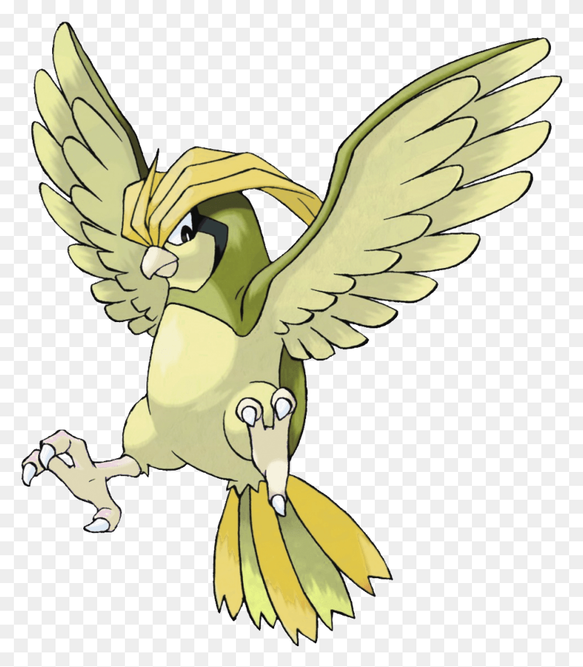 970x1121 Pidgeotto Shiny Pokemon Pidgeotto, Águila, Pájaro, Animal Hd Png