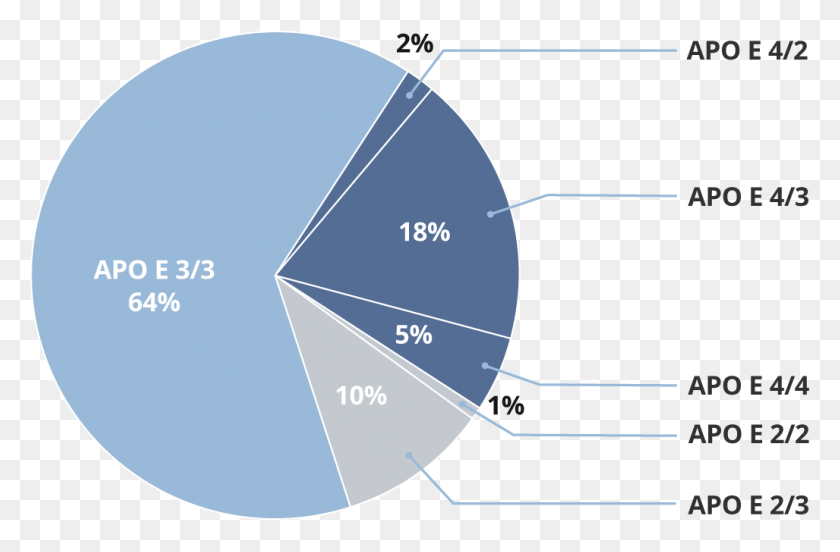 1027x649 Pie Chart Showing Percentages Of Apo E Gene Types Apo E, Disk, Nature, Outer Space HD PNG Download