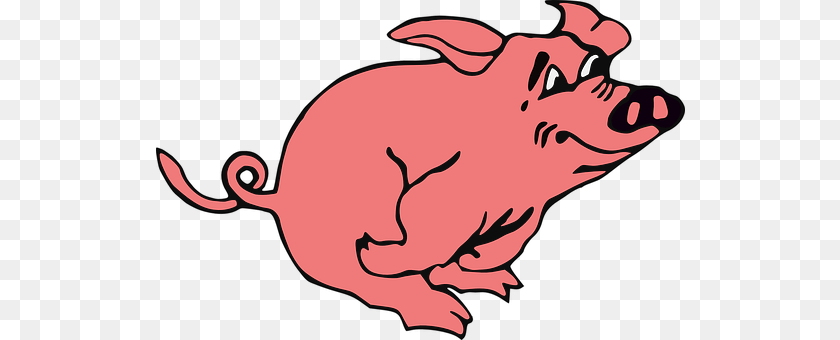 529x340 Pig Animal, Mammal, Hog, Fish Transparent PNG