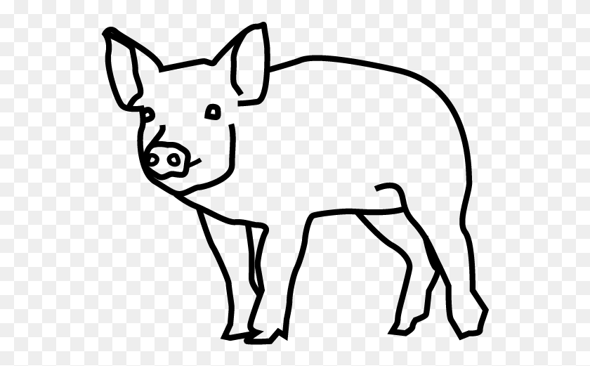 553x461 Pig Domestic Pig, Gray, World Of Warcraft HD PNG Download