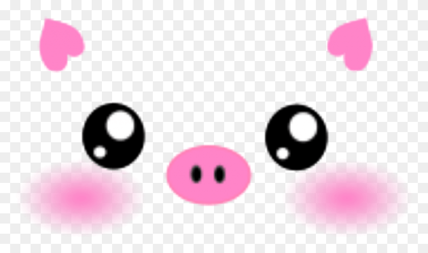 930x523 Pig Face Cute Cutepig Cuteanimals Selfie Cute T Shirt Roblox, Petal, Flower, Plant HD PNG Download