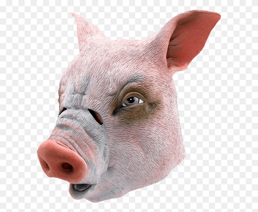 601x630 Pig Mask Latex Animal Masks, Mammal, Hog, Snout HD PNG Download