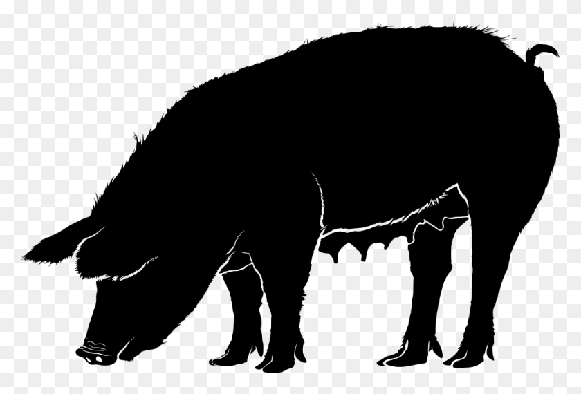 1017x665 Pig Silhouette, Gray, World Of Warcraft HD PNG Download