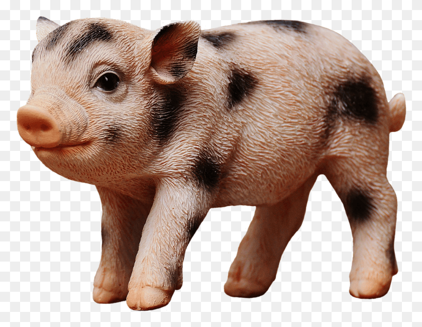 1028x778 Piglet Figure Cute Eat One But Not The Other, Pig, Mammal, Animal HD PNG Download