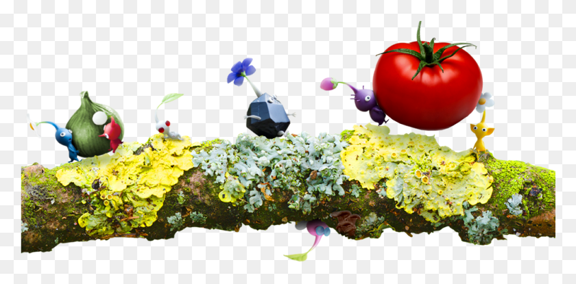 1001x456 Pikmin 3 Plum Tomato, Растение, Птица, Животное Hd Png Скачать