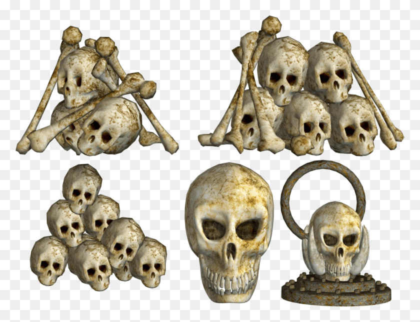975x731 Pile Of Skulls Pic, Ivory, Archaeology, Head HD PNG Download
