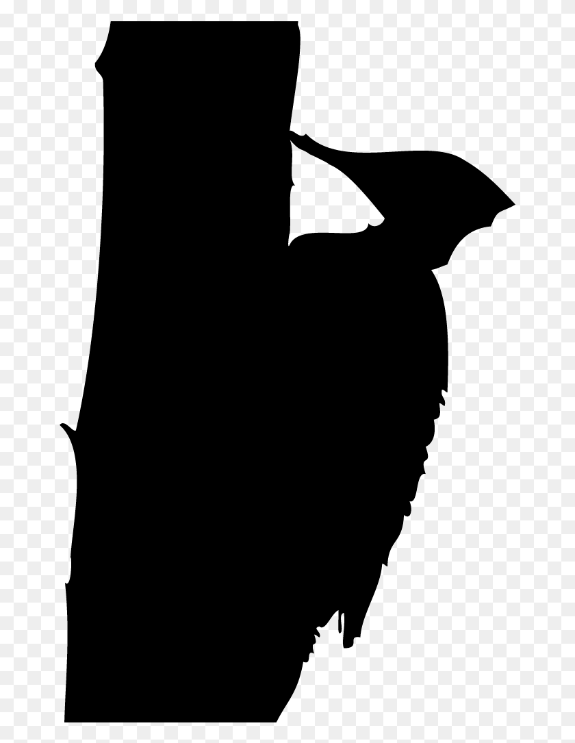 667x1025 Pileated Woodpecker Silhouette, Face, Photography HD PNG Download