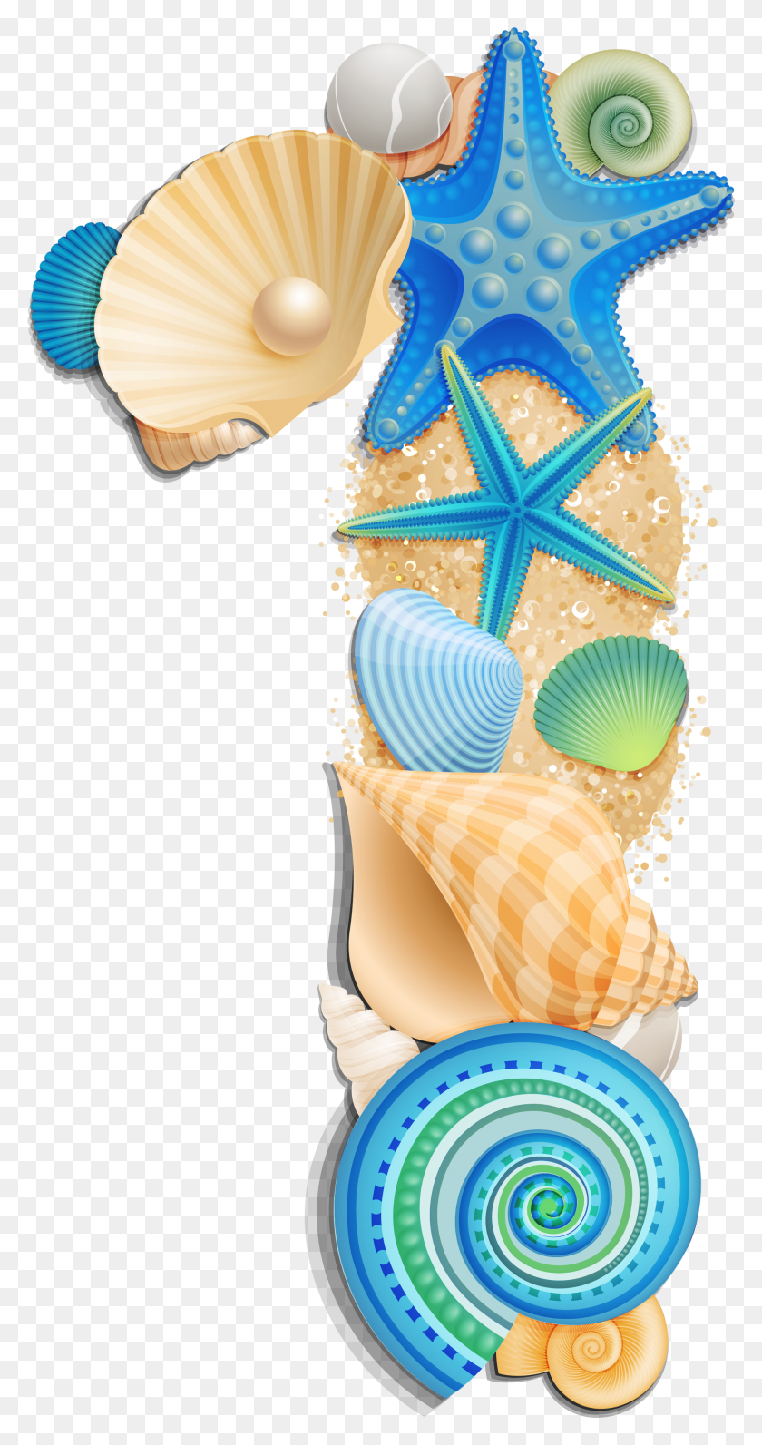 2124x4176 Pin By Decoupage Seashells Clipart Transparent Background, Sea Life, Animal, Invertebrate HD PNG Download