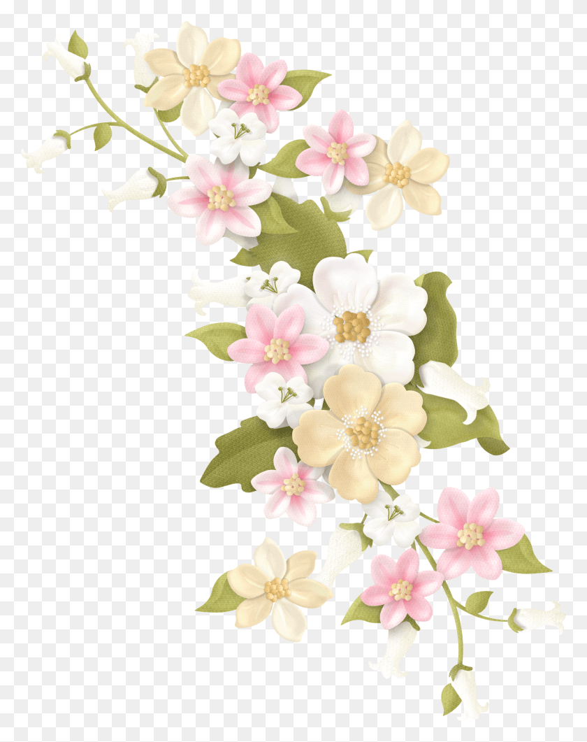 1822x2340 Descargar Png Pin By Disturbedkorngirl On Digital Flores Color Pastel, Planta, Flor, Flor Hd Png