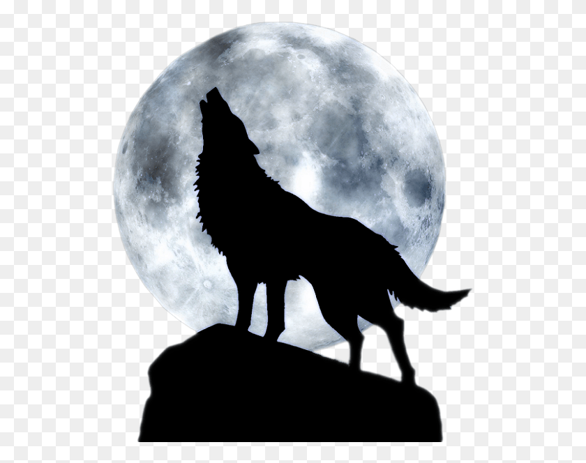 517x604 Pin By France Loyer On Loup Wolf And Moon, Nature, Outdoors, Outer Space HD PNG Download
