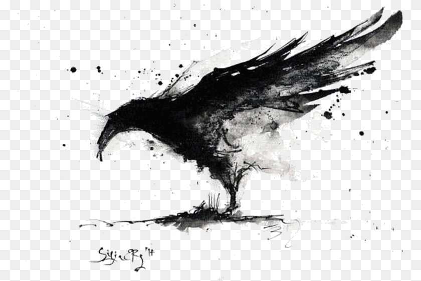 782x562 Pin By Gina Tilley On Ravens Crow Art, Animal, Bird, Vulture, Beak PNG