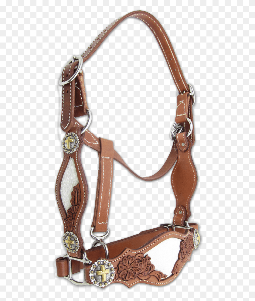 500x931 Pin By Jackie Leavitt On Horse Tack Halter, Quiver, Strap, Harness HD PNG Download