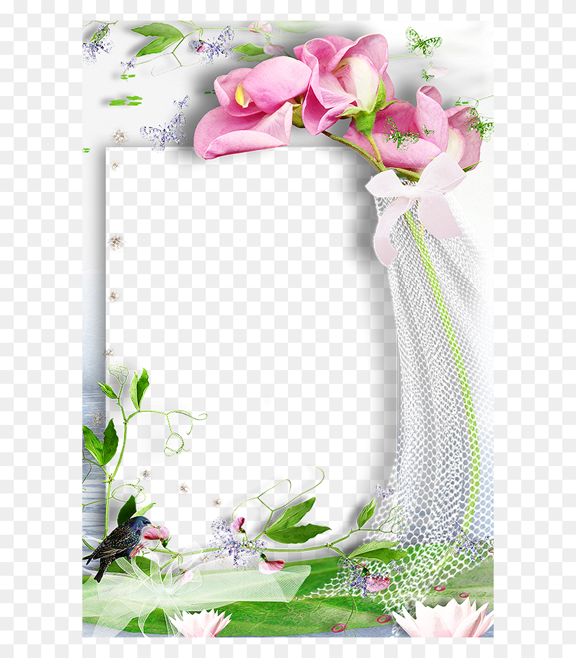 600x900 Pin By Meirelandespoggigmail Picture Frame, Bird, Animal, Plant HD PNG Download