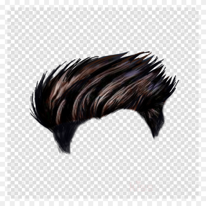 900x900 Pin By Suraj Mahajan On Suraj In 2019 Hair Style Man Picsart, Texture, Polka Dot, Bird HD PNG Download