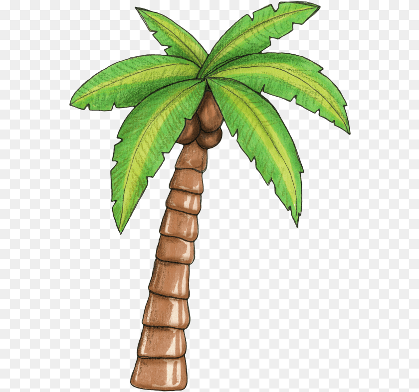 567x787 Pin By Tatimaia On Moana Baby Moana Moana Palm Tree, Leaf, Palm Tree, Plant, Emblem Sticker PNG