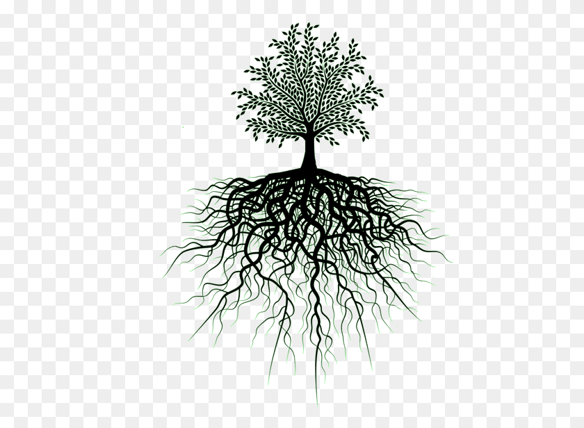 500x556 Pin De Ra Transparent Tree Of Life, Plant, Root, Conifer HD PNG Download