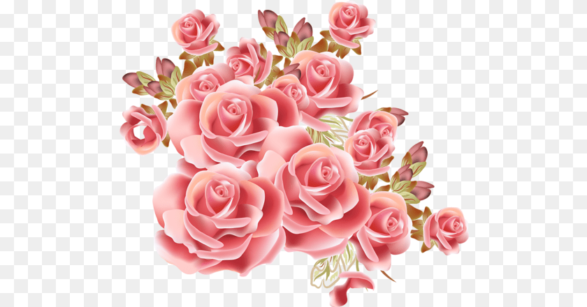 501x440 Pin Di People Quotes Blue Rose Plant, Flower, Flower Arrangement, Flower Bouquet Transparent PNG