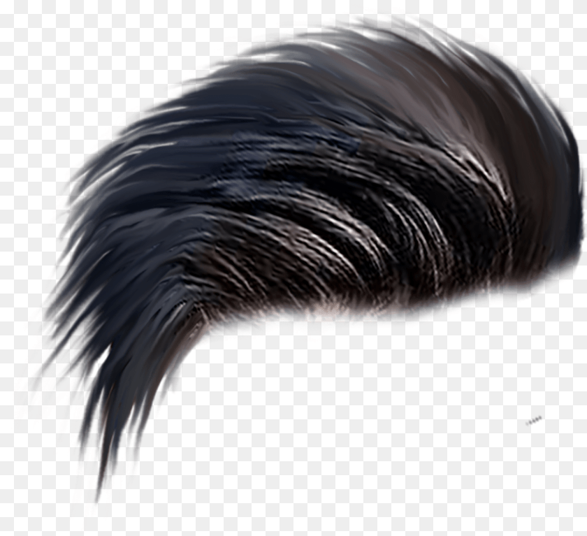 2633x2403 Pin Hairstyle, Animal, Bird Sticker PNG