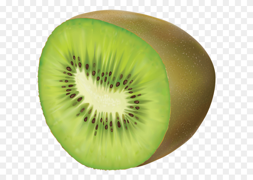 593x538 Pinart Kiwi Clipart Jugoso A La Mitad Fuzzy Verde Kiwi Kiwi Clipart Fondo Transparente, Planta, Fruta, Alimentos Hd Png