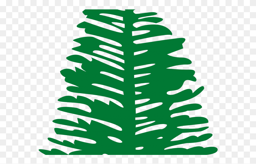 590x481 Pine Clipart Big Plant Norfolk Island Flag, Green, Fern, Graphics HD PNG Download