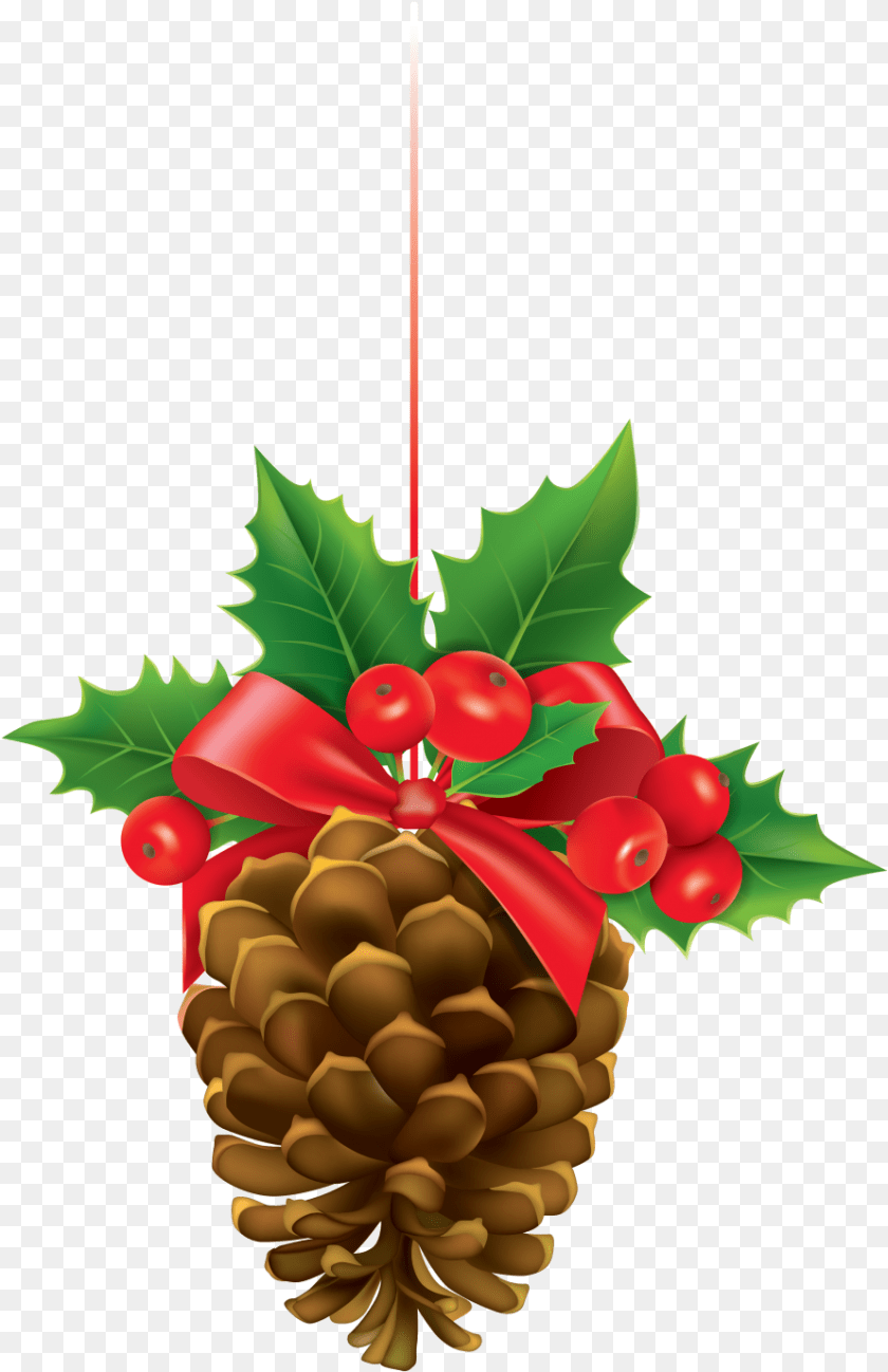891x1377 Pine Cone Cartoon Pencil Christmas Pine Cone Clipart, Leaf, Plant, Tree, Food Transparent PNG