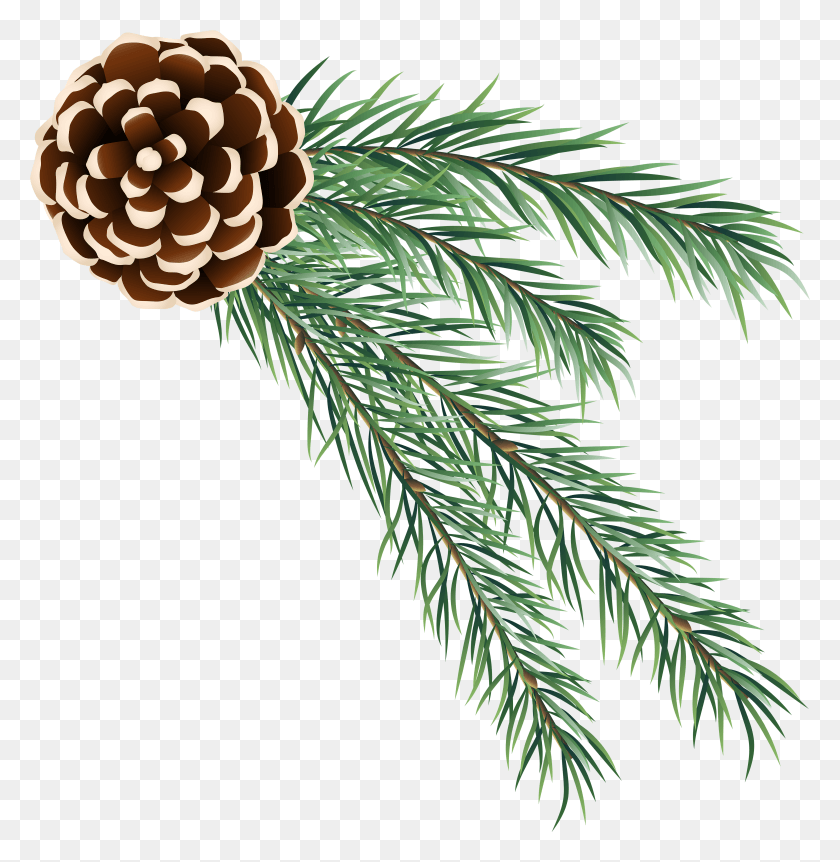 4817x4958 Pine Cone Decoration Clip Art Christmas Pinecone Decorations Clipart HD PNG Download