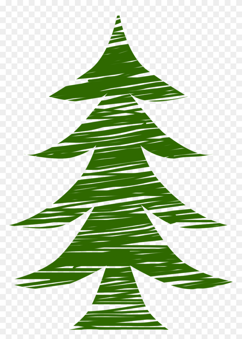 798x1142 Pine Nature Green Fir Image Picpng Fir, Plant, Tree, Ornament HD PNG Download