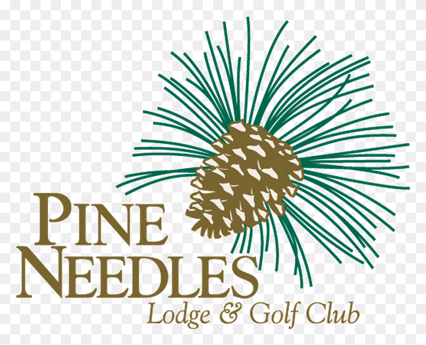 900x717 Pine Needles Lodge Gc Pine Needles Golf Logo, Растение, Цветок, Цветение Png Скачать