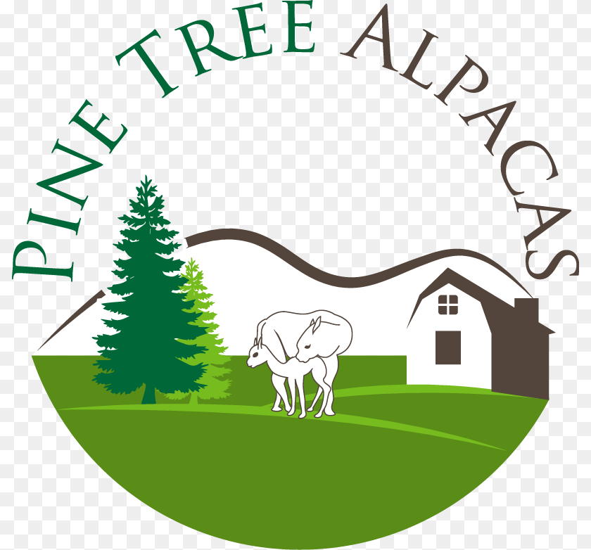 Pine Tree Alpacas, Grass, Plant, Animal, Wildlife Sticker PNG