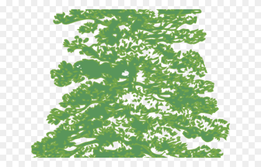 640x480 Pine Tree Clipart Cedar Tree Pine Tree Clip Art, Military, Pattern, Texture HD PNG Download