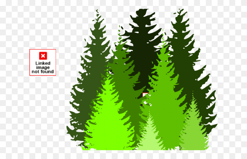 640x480 Pine Tree Clipart Snowy Cartoon Picture Of Pine Tree, Tree, Plant, Pine HD PNG Download