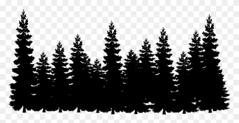 823x393 Pine Tree Line Silhouette Pine Trees Clipart Black And White, Gray, World Of Warcraft HD PNG Download