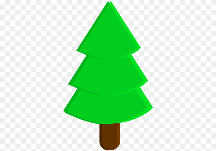 354x589 Pine Tree Pine Tree Trees Green Green Pine Tree Christmas Tree Transparent PNG
