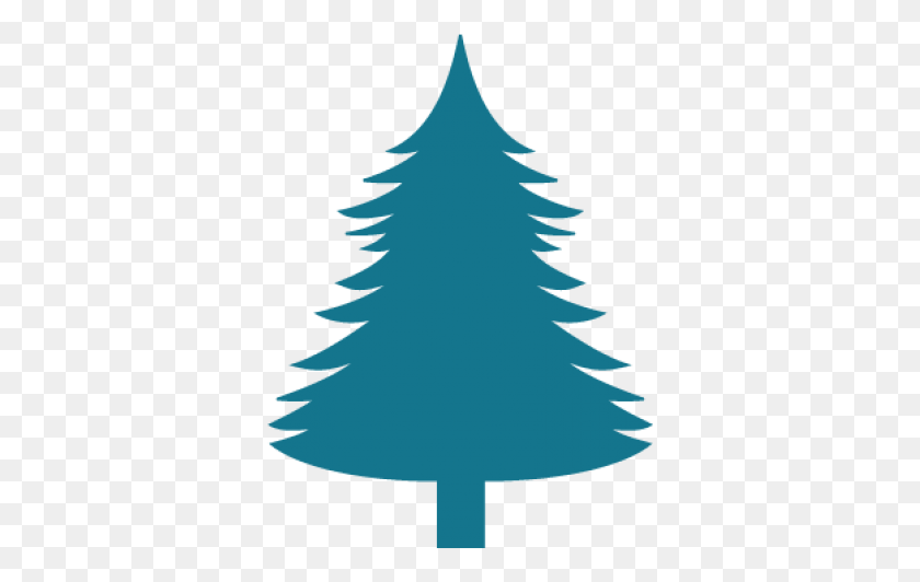 354x472 Pine Tree Shape, Tree, Plant, Ornament Descargar Hd Png